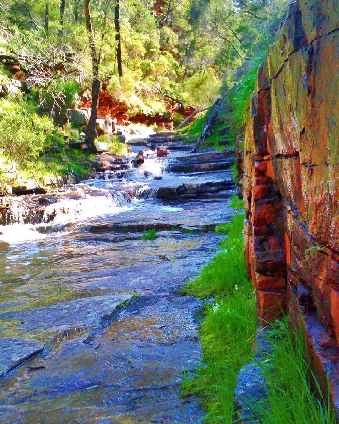 Alligator Gorge, South Australia