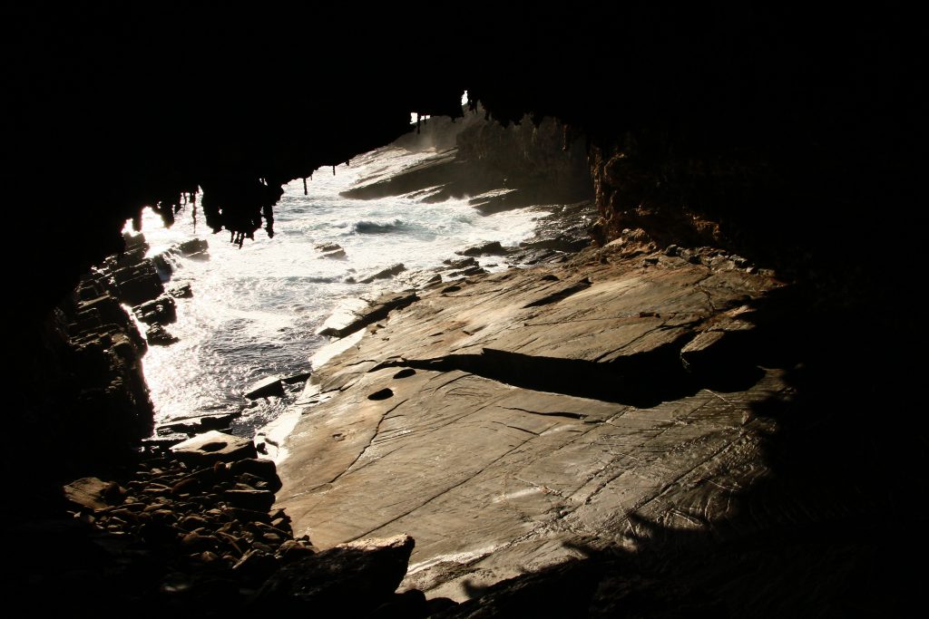 Admiral's Arch on KI - one of the best road trips in South Australia