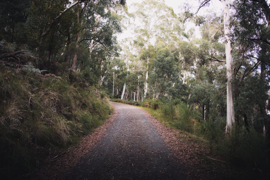 The Yarra Valley