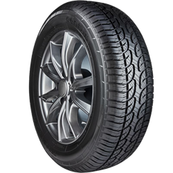 CENTARA TERRENA A/T Tyre Front View