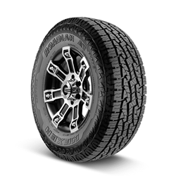 Nexen ROADIAN AT PRO RA8 Tyre Front View