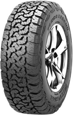 WESTLAKE SL399 Tyre Front View