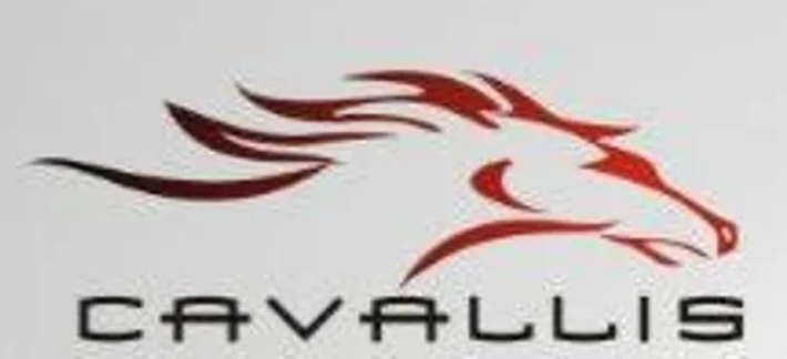 Cavallis tyre